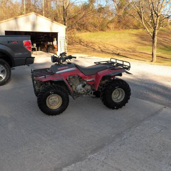 Meet your Posher, Riley - Picture 1 of 1